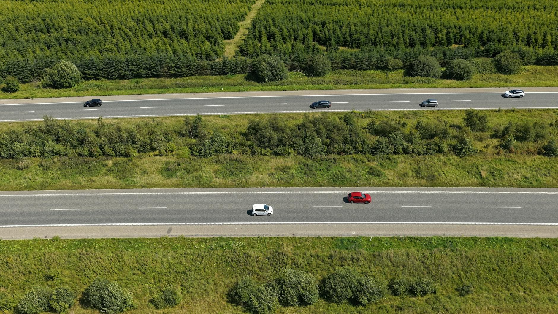 High-angle shot of cars on a Danish highway surrounded by lush greenery on a sunny day.