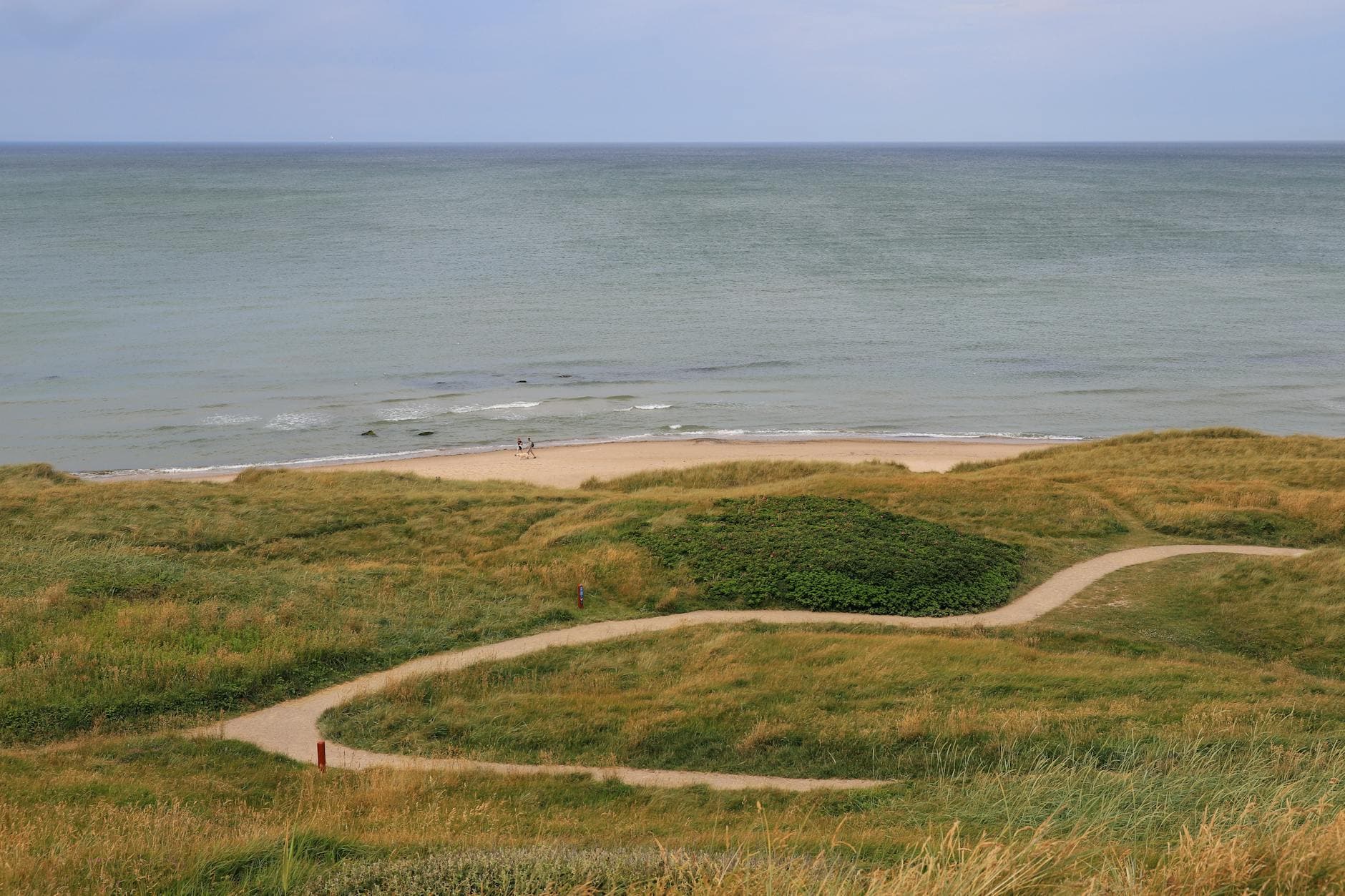 A scenic path leading through green dunes to the ocean on a Denmark beach.