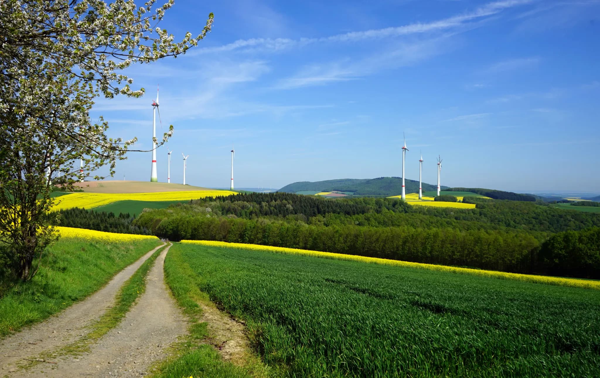 green grass field near wind turbines under blue sky during daytime