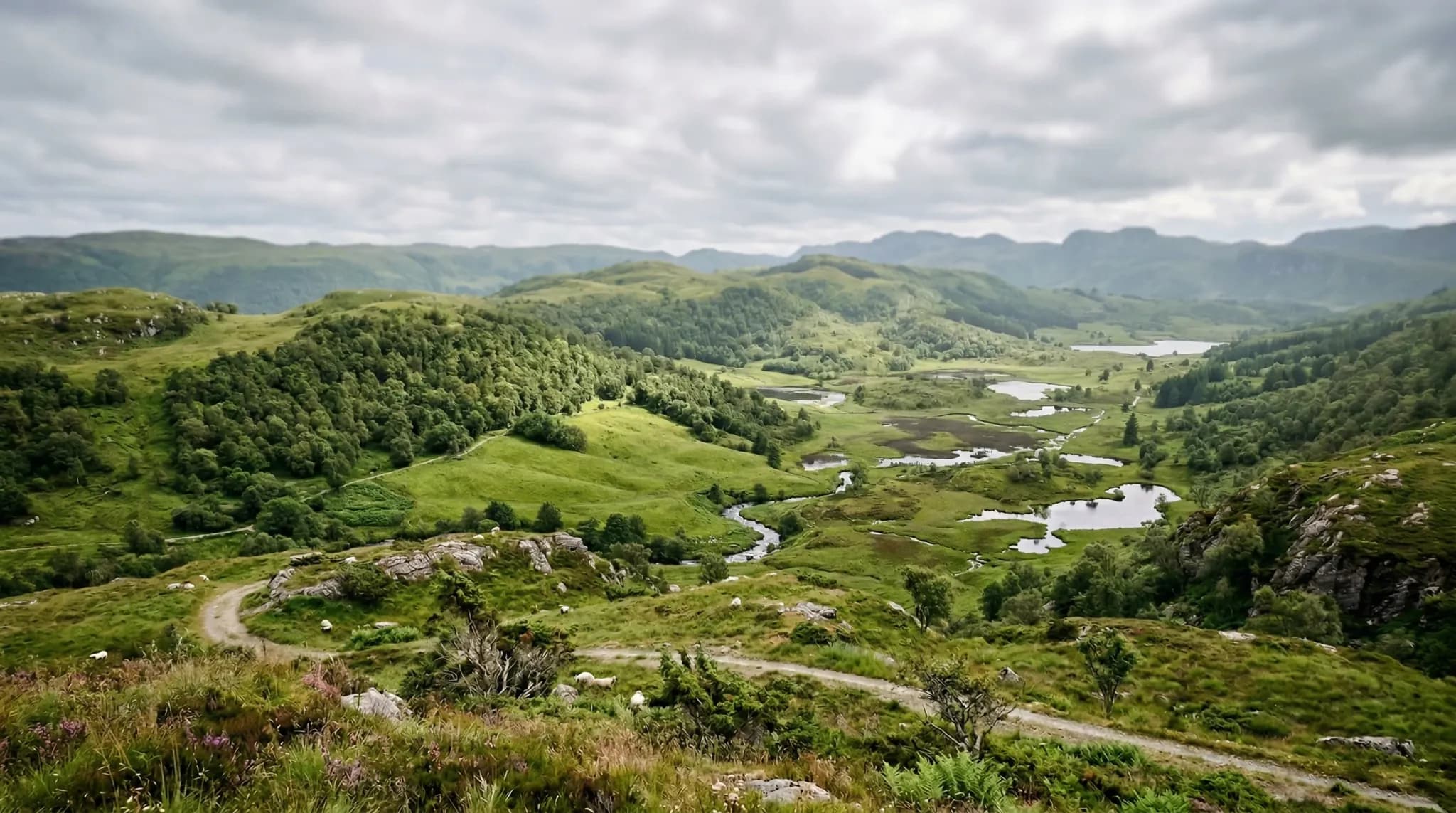 A wide-angle photorealistic landscape of rolling green hills and undulating terrain under a soft, overcast Scandinavian sky. The scene features a mix of dense deciduous forests, open meadows, and smal