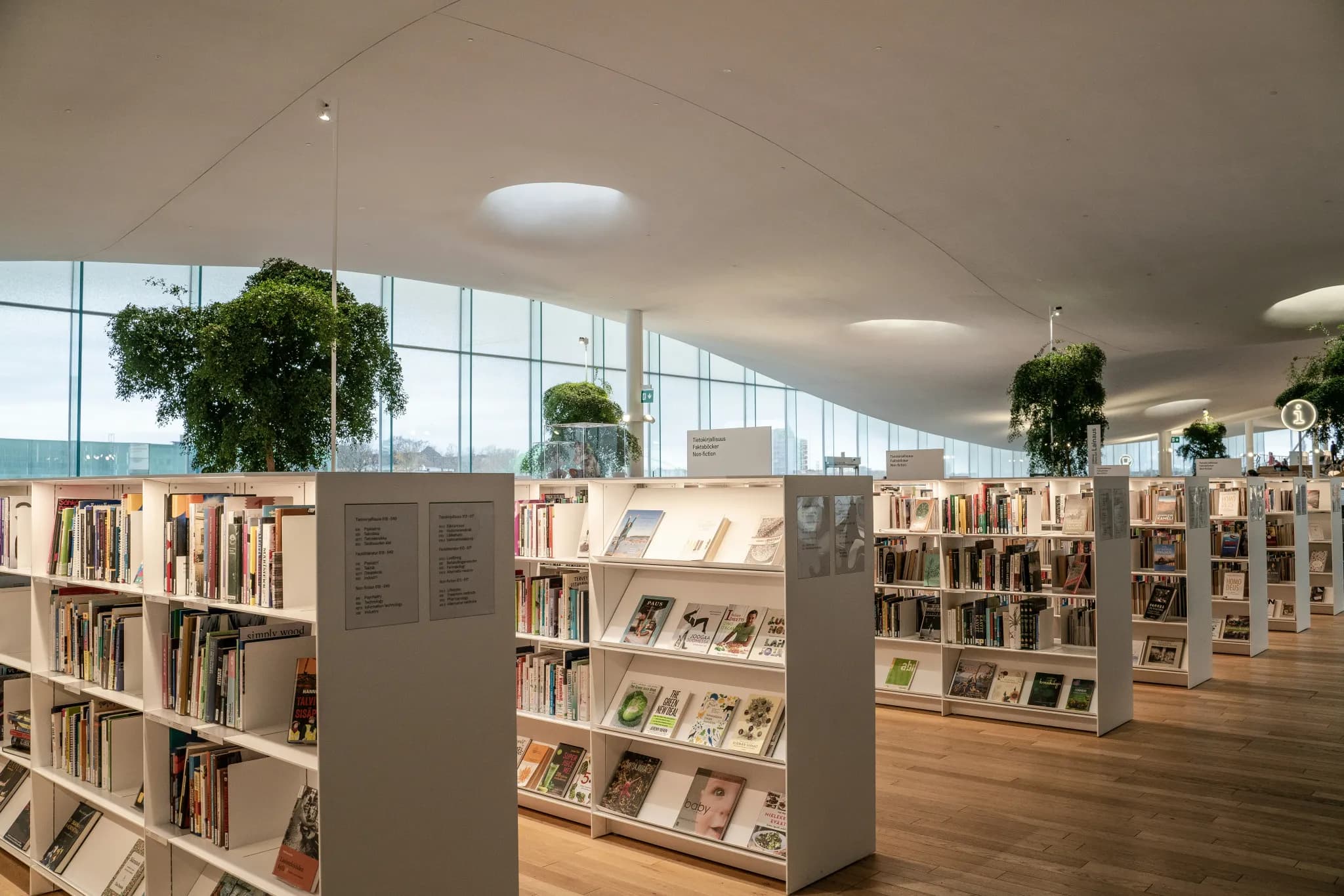 a library filled with lots of books and plants