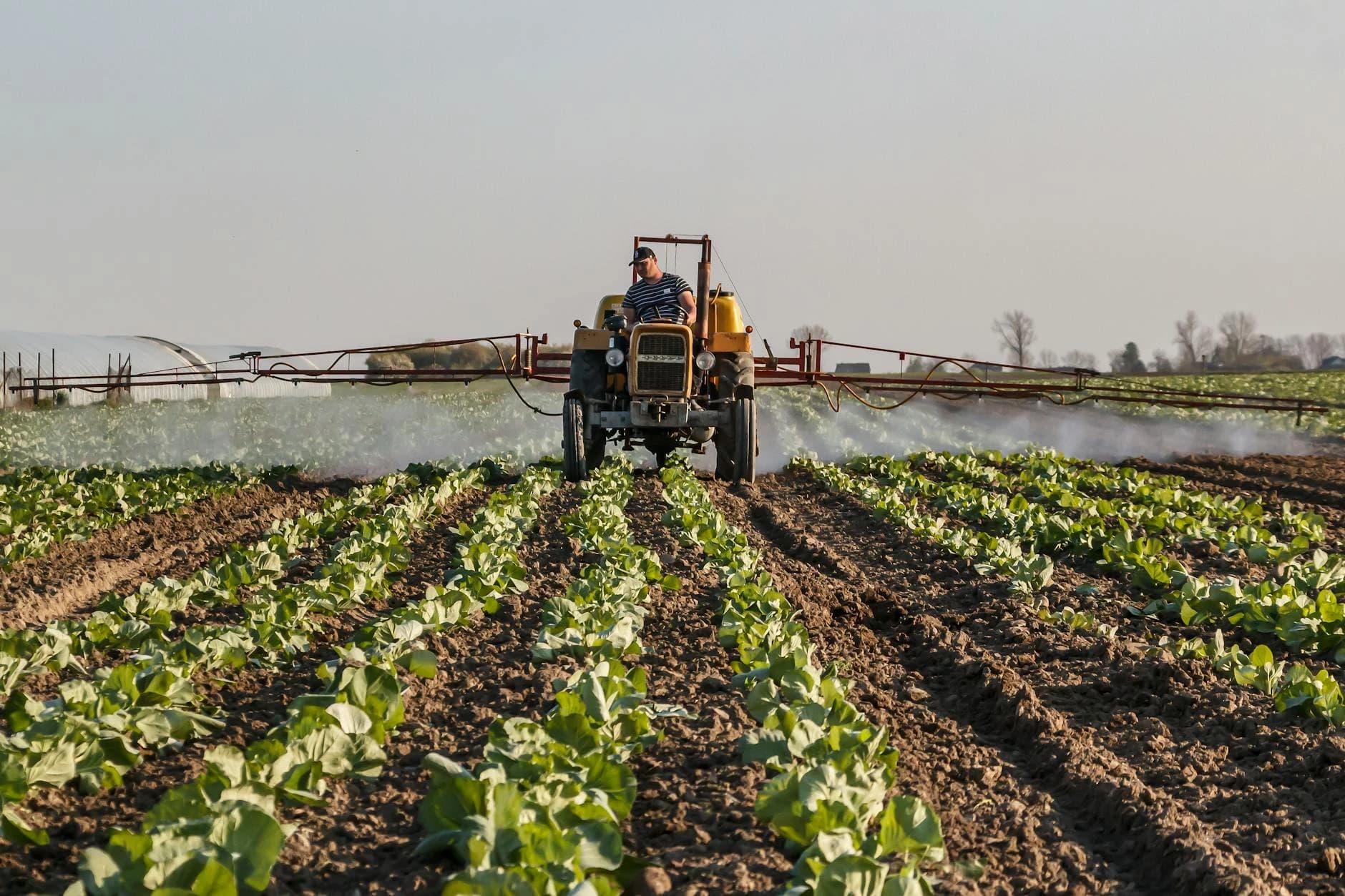 A farmer drives a yellow tractor through a field, using an expansive boom sprayer to distribute a fine mist of fertilizer across rows of young, leafy green crops. The scene is set under a clear, pale sky in a rural agricultural landscape, capturing a moment of focused, industrial farming activity.