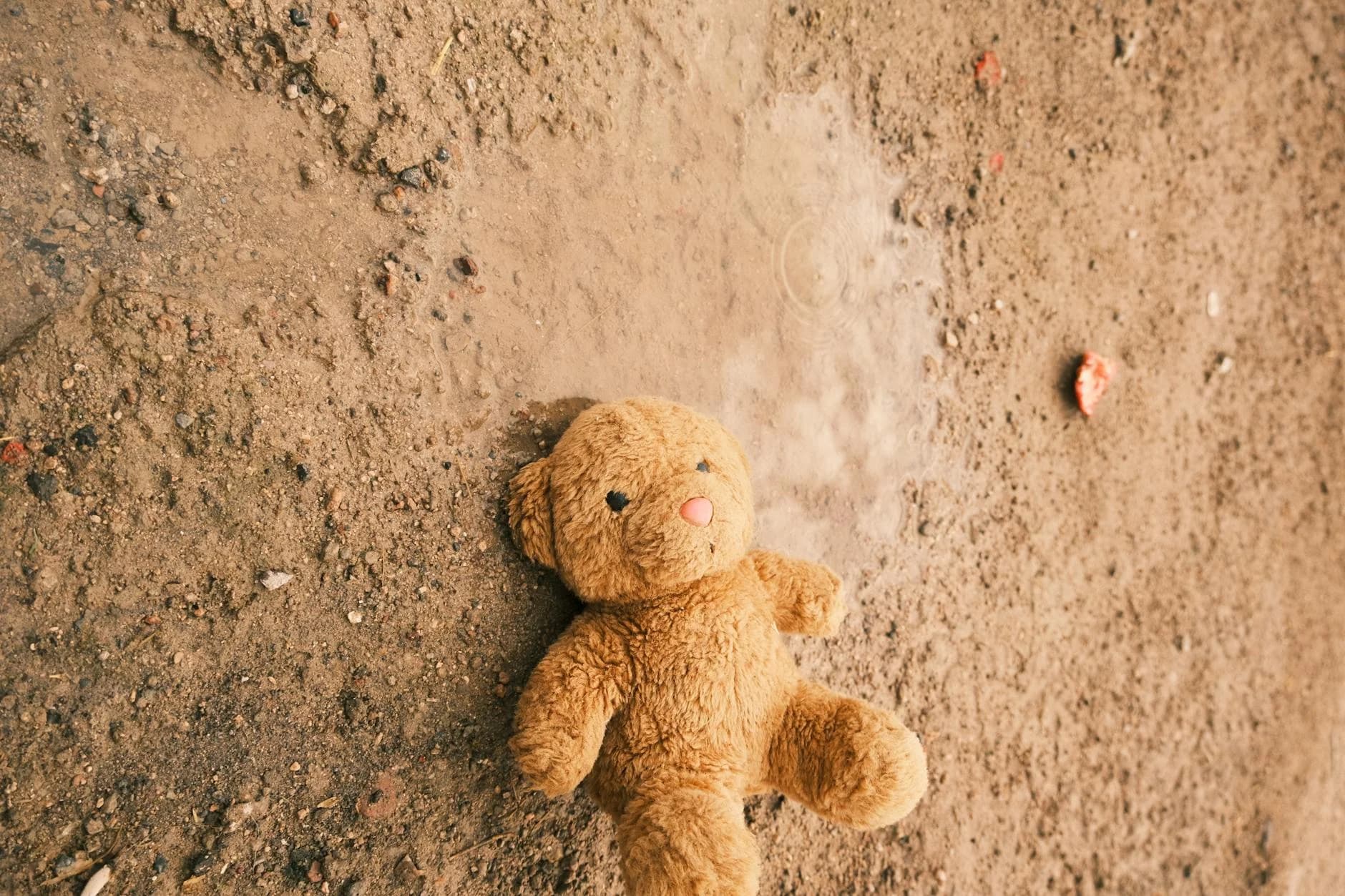 A teddy bear lies abandoned on wet, muddy ground, reflecting feelings of loneliness and nostalgia.