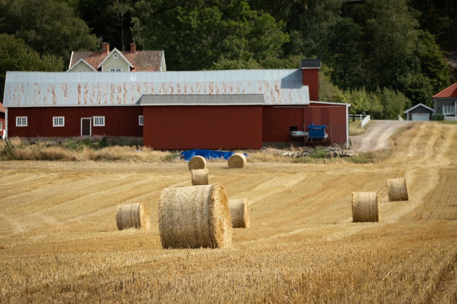 Skærpet kontrol med ansøgninger om landbrugspraktik fra Uganda