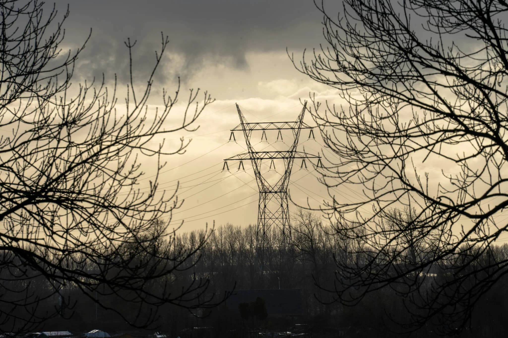 a view of a power line through some trees