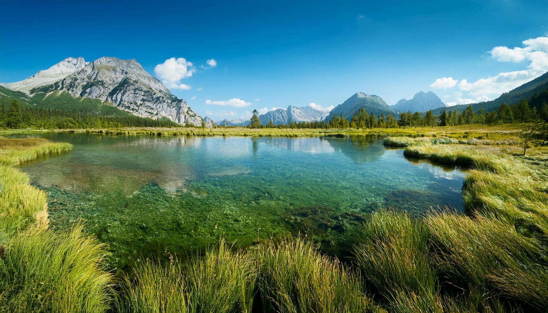 Miljøret i Fokus: Nye Regler for Grundvand, Naturgenopretning og Grøn Transport