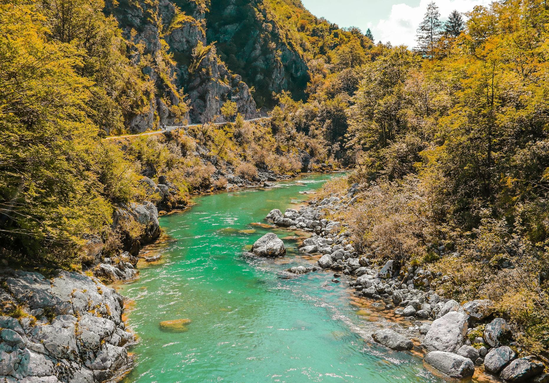 Vibrant green Soča River flowing through scenic forested mountains in Slovenia.