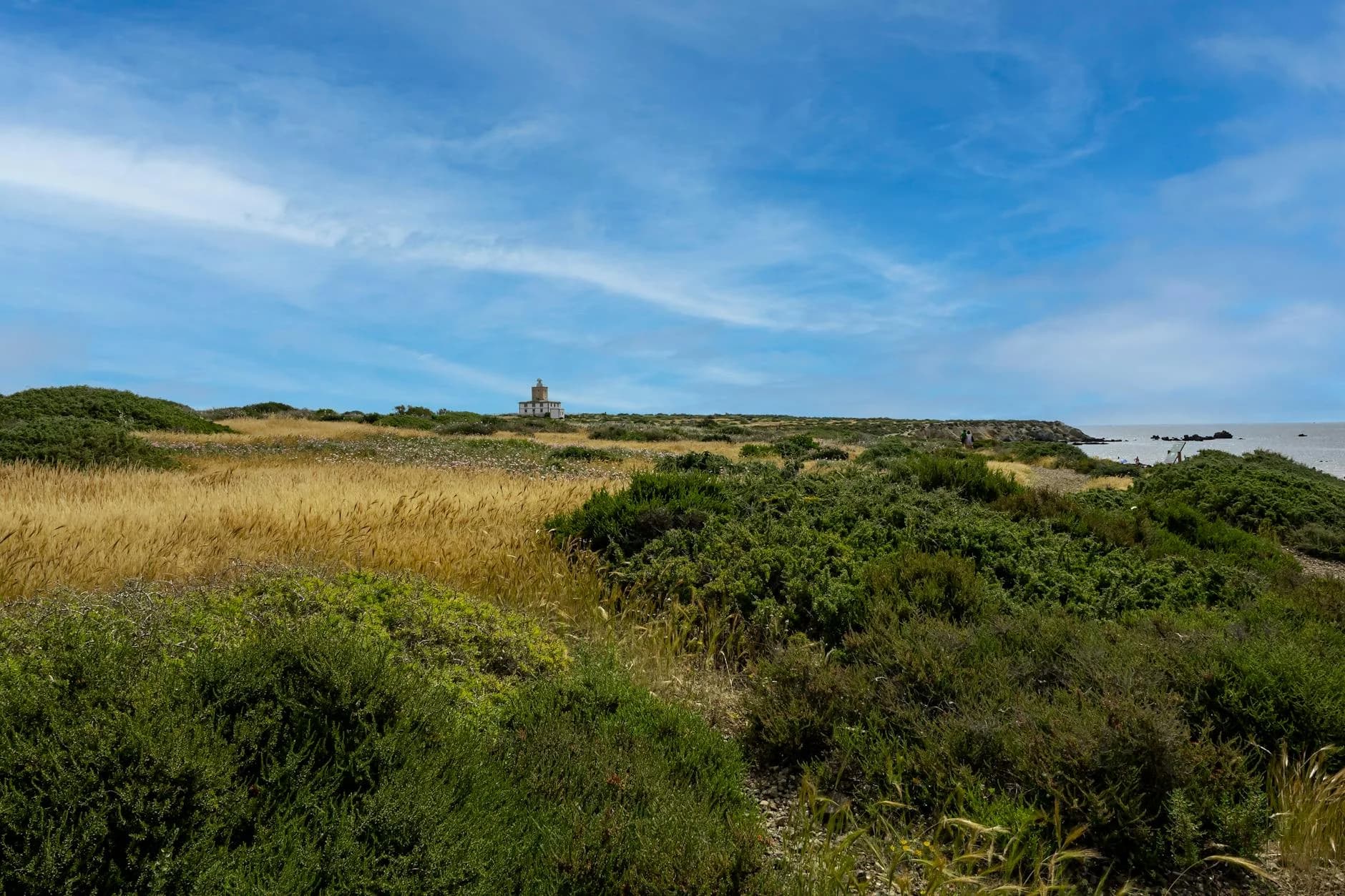 Hirtshals Havn med sediment og kystnære anlæg i baggrunden.
